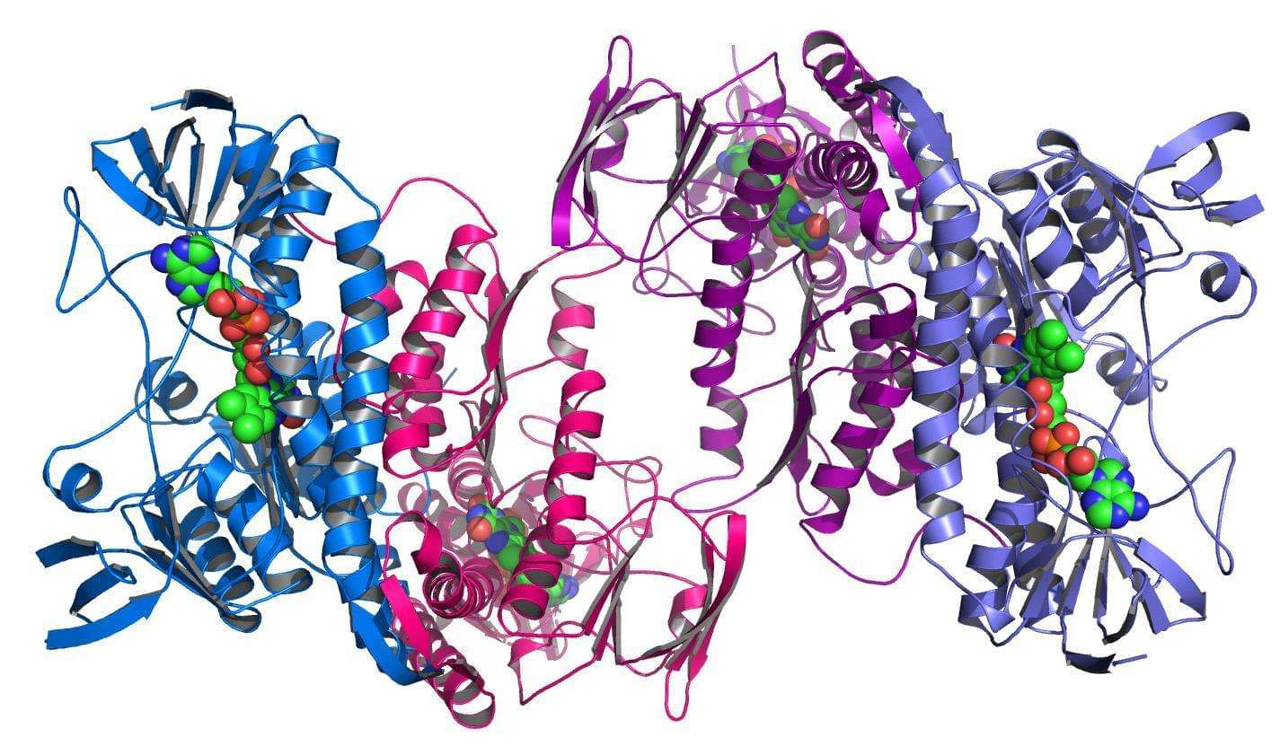 蛋白质工程中的蛋白质设计